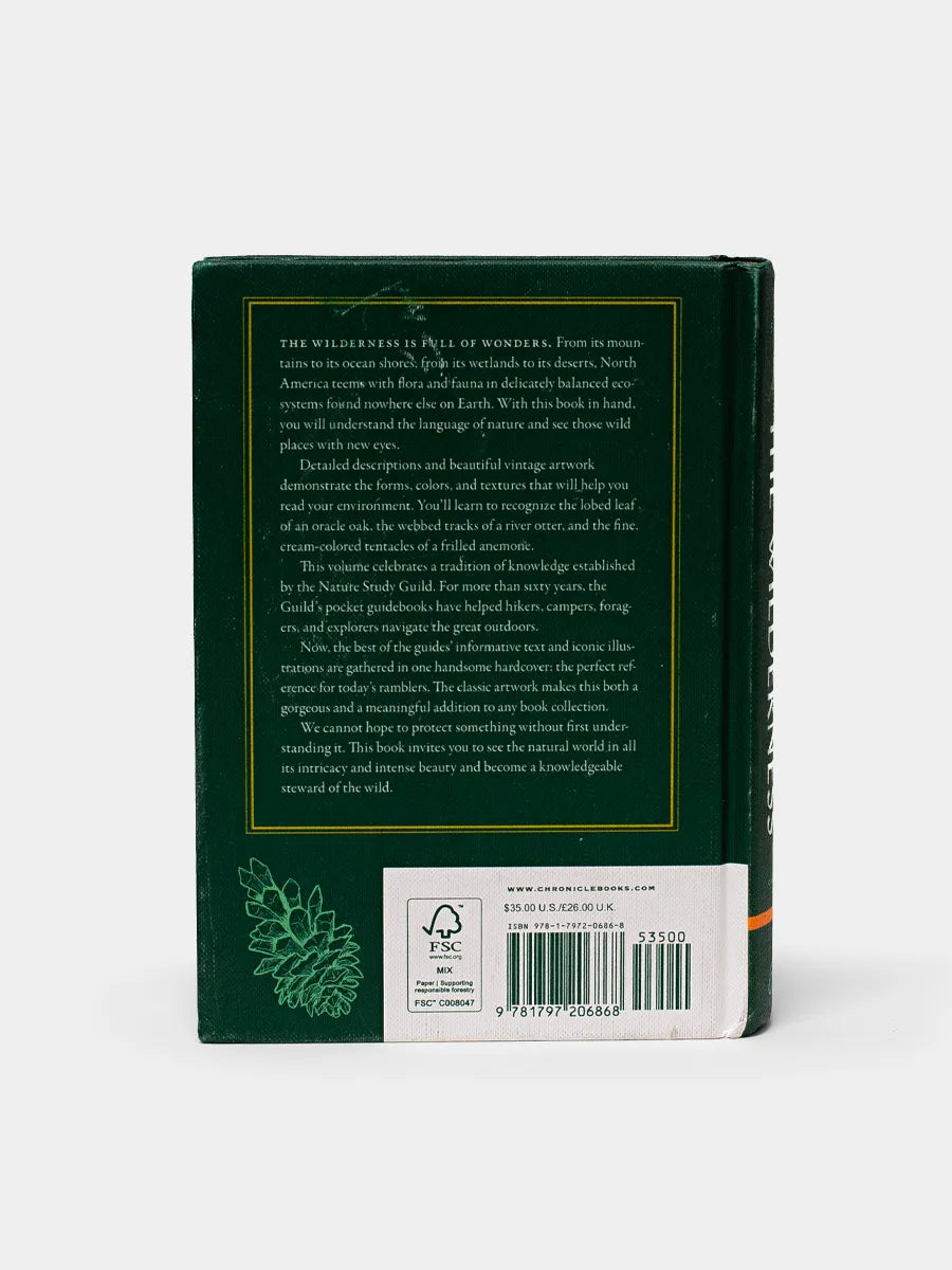 How to Read the Wilderness