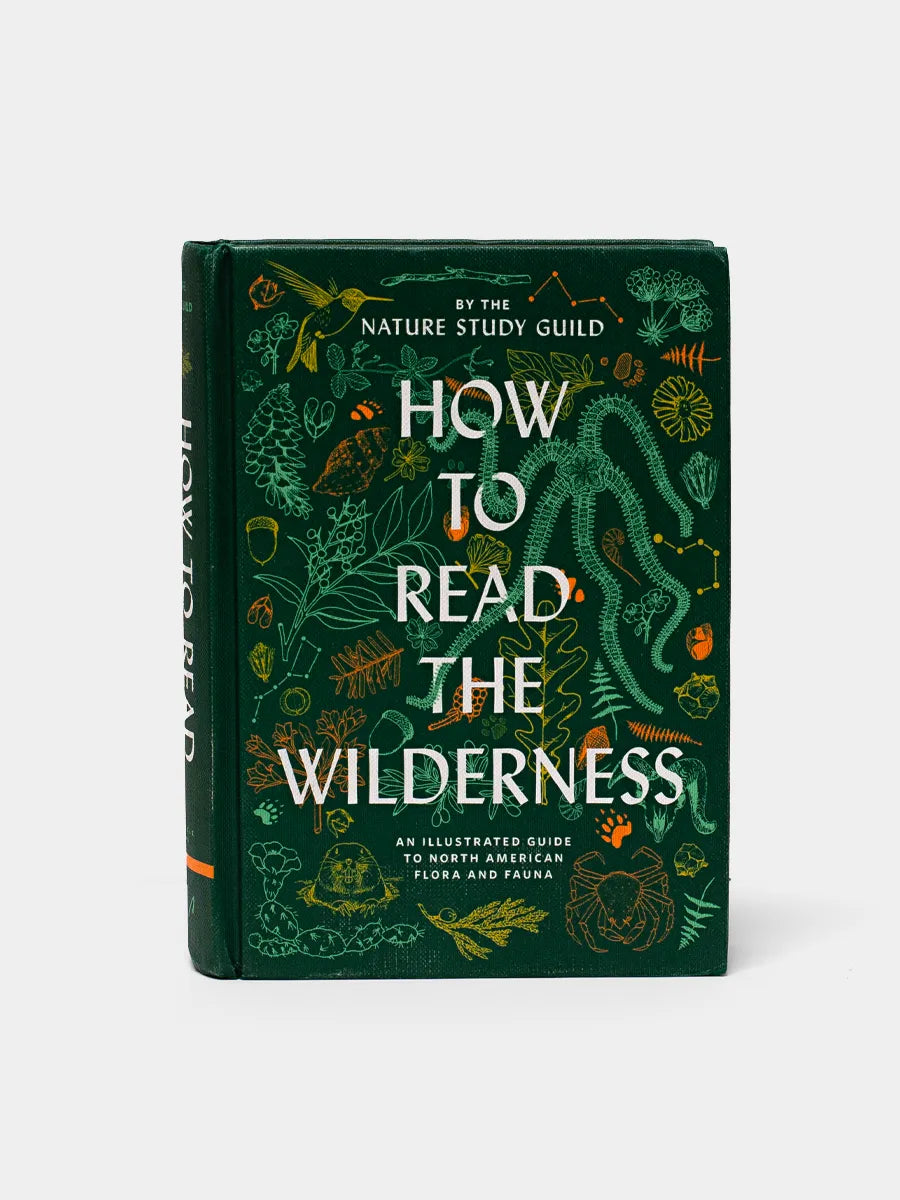 How to Read the Wilderness