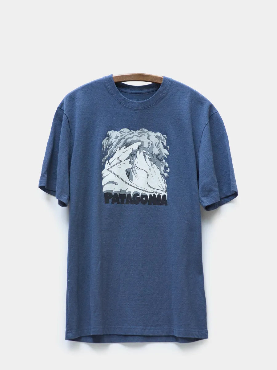 Patagonia Graphic Logo Tee Tidepool Blue