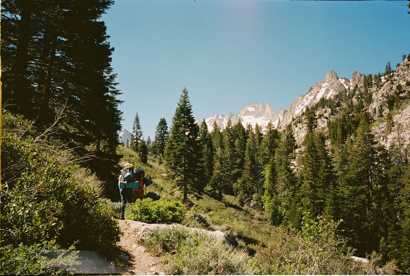 two climbers backpacking in the mountains in a forest scene.