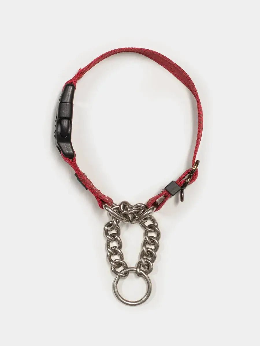 Max and Neo Dog Gear Nylon Reflective Martingale Dog Collar with Chain - Articles In Common