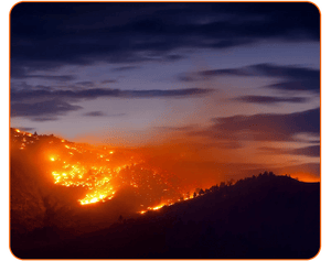 Who's Fighting California Wildfires? - Articles In Common