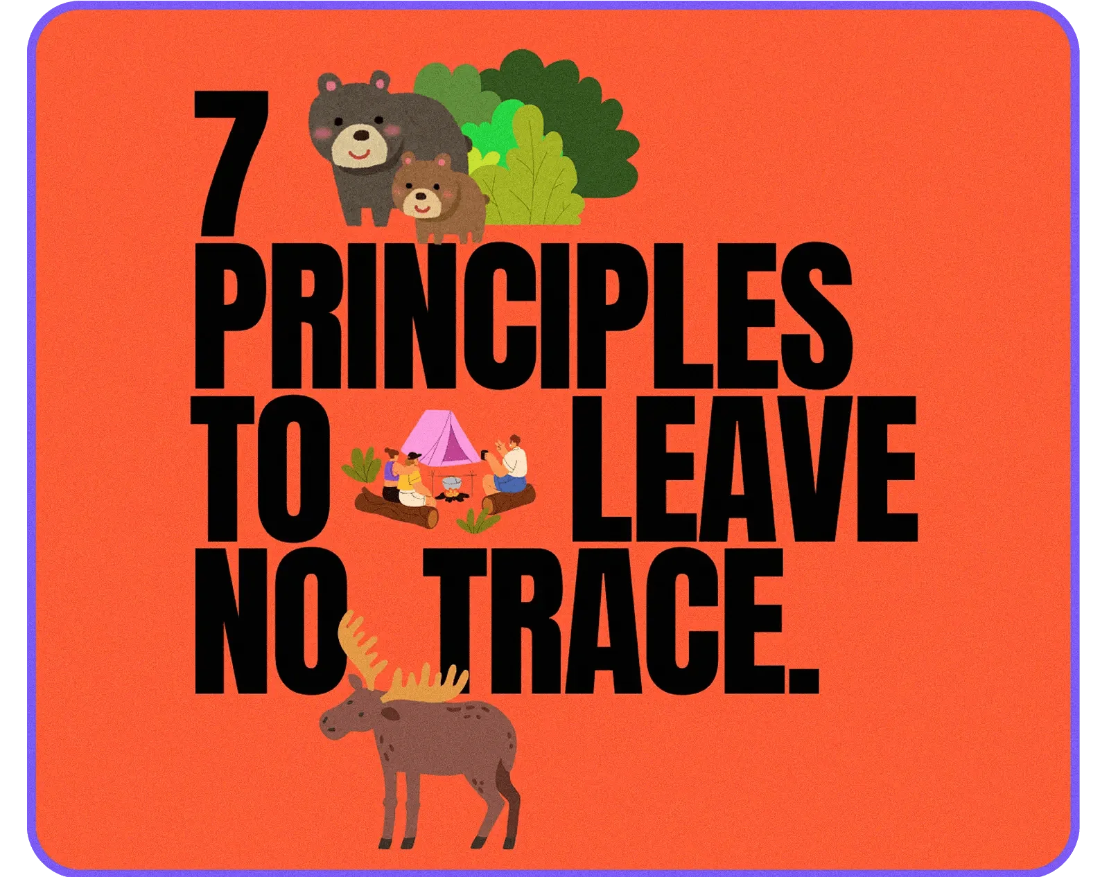 Leave No Trace Principles