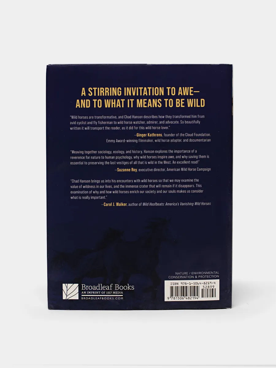 Back cover of book