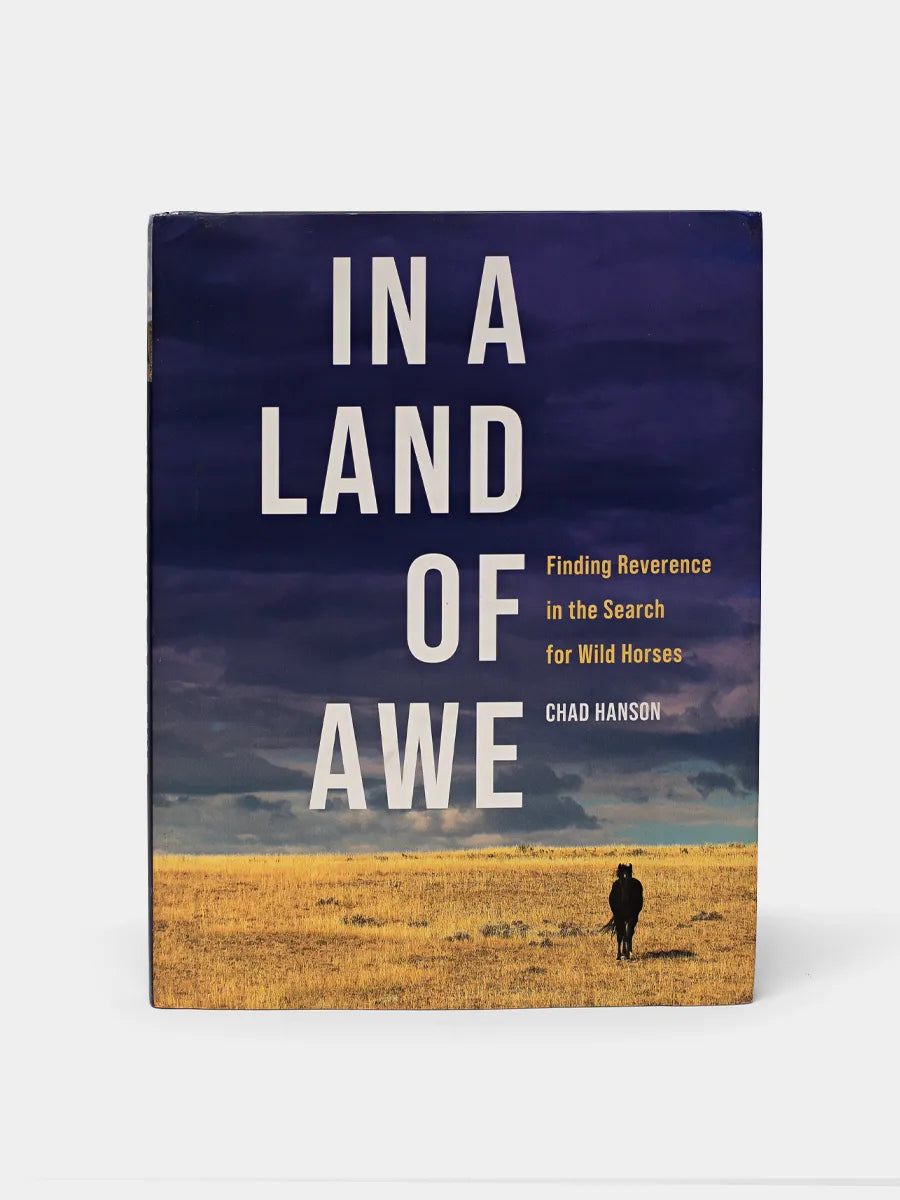 This image features the cover of the book "In A Land of Awe" by Chad Hassen. The cover design is minimalist with a backdrop of a serene landscape at either sunrise or sunset, highlighted by the silhouette of a person standing and gazing at the horizon.