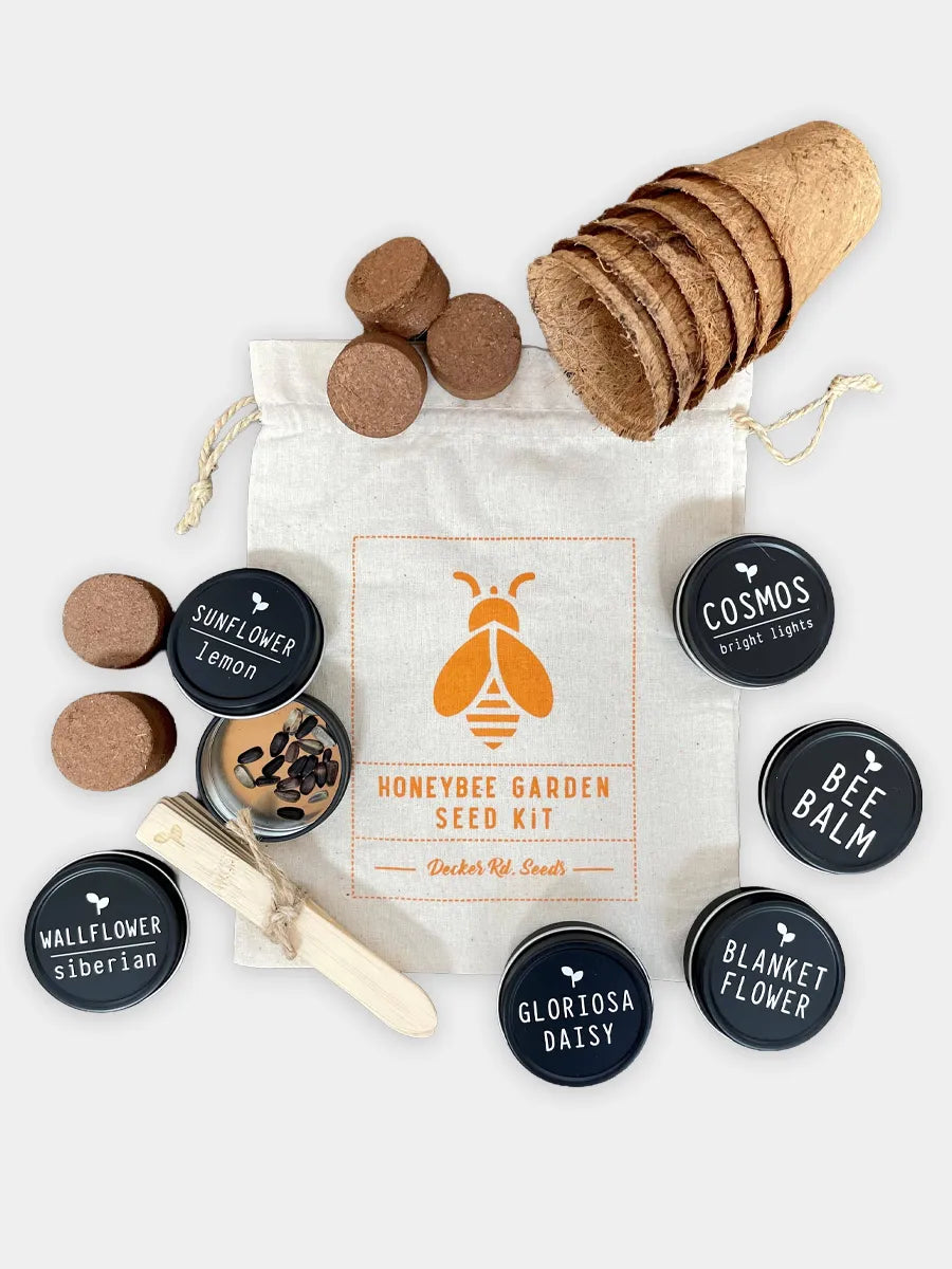 Honey Bee Garden Seed Kit 🐝