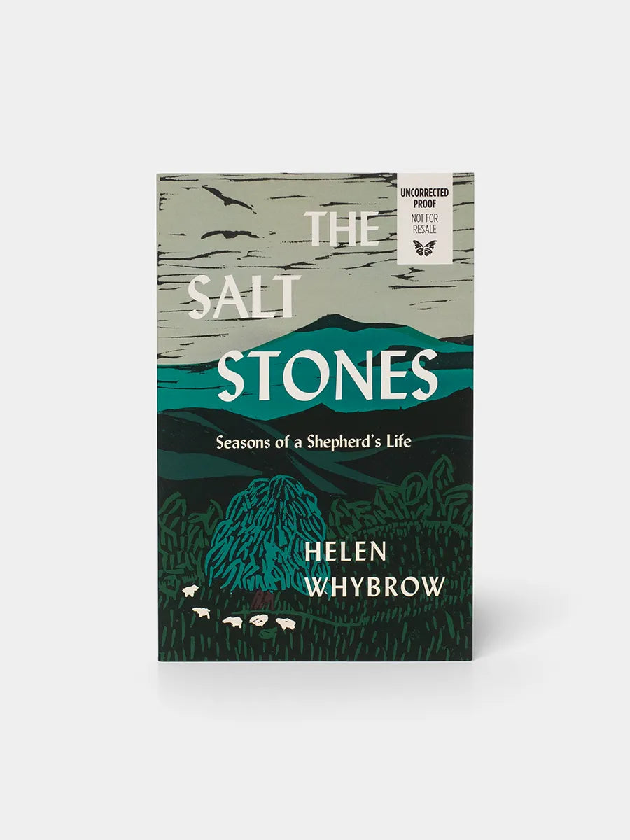 Book cover of 'The Salt Stones' by Helen Whybrow on a white background
