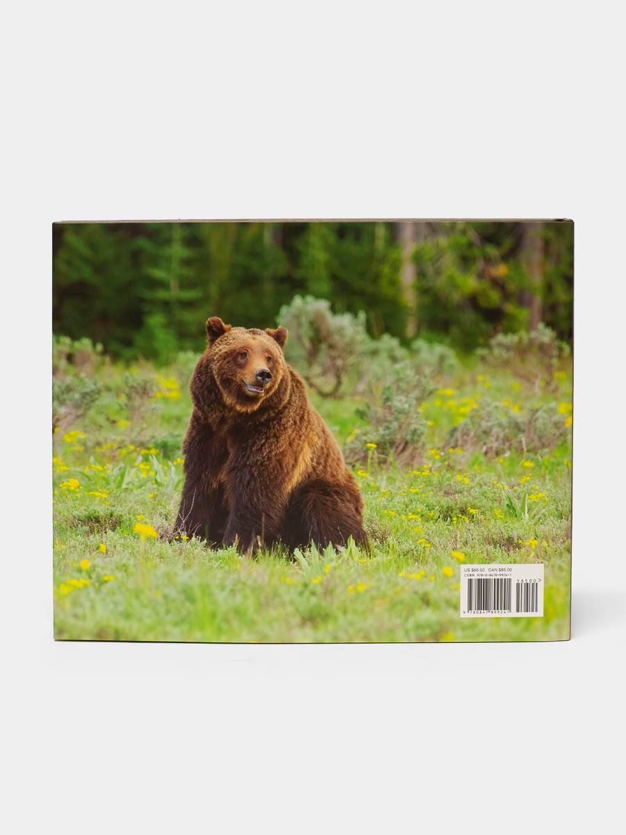 Bear in a field with greenery and flowers on the back book cover of Grizzly 399 The World's Most Famous Bear photo book.
