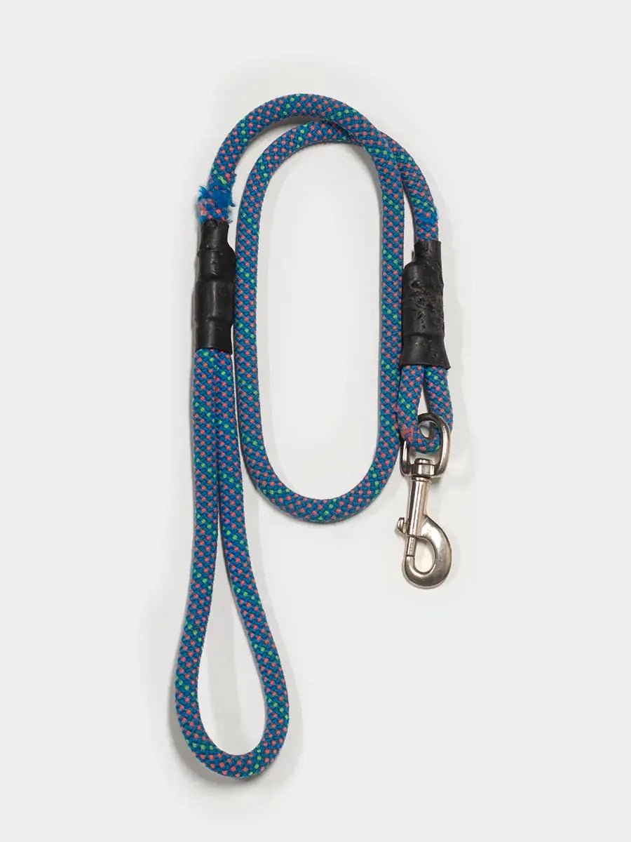 Mountain Dog Products 4' Clip Leash - Articles In Common