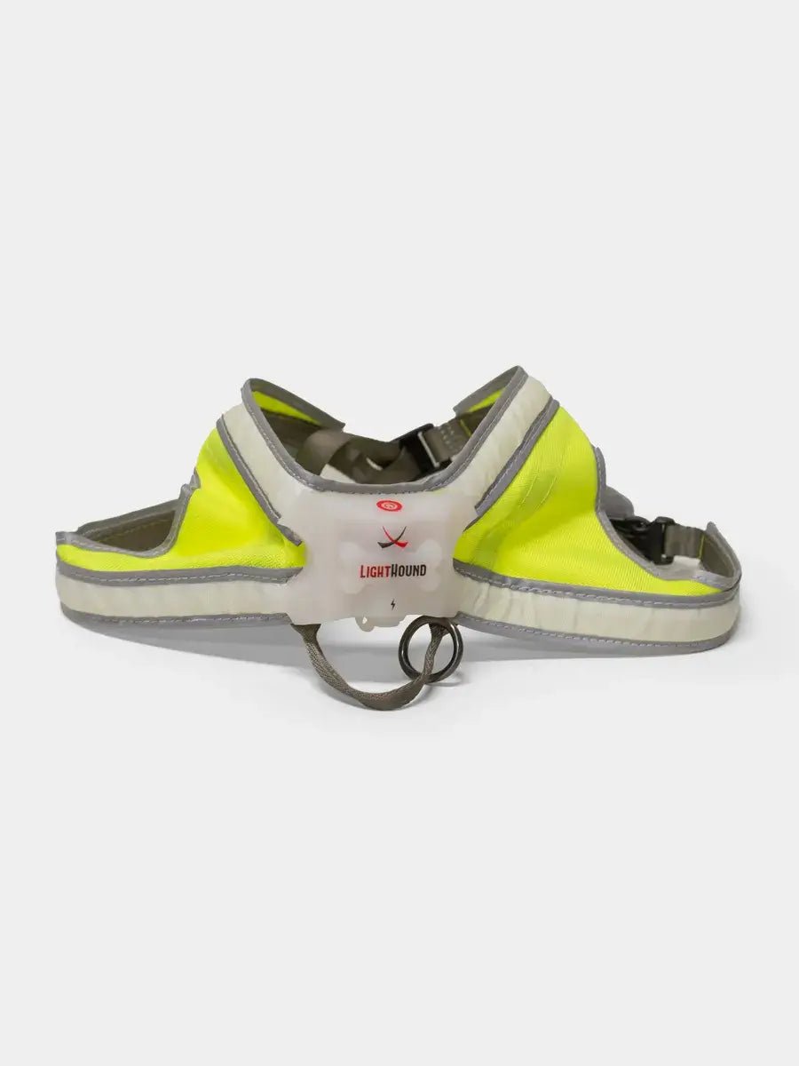 Noxgear LightHound Harness - Articles In Common
