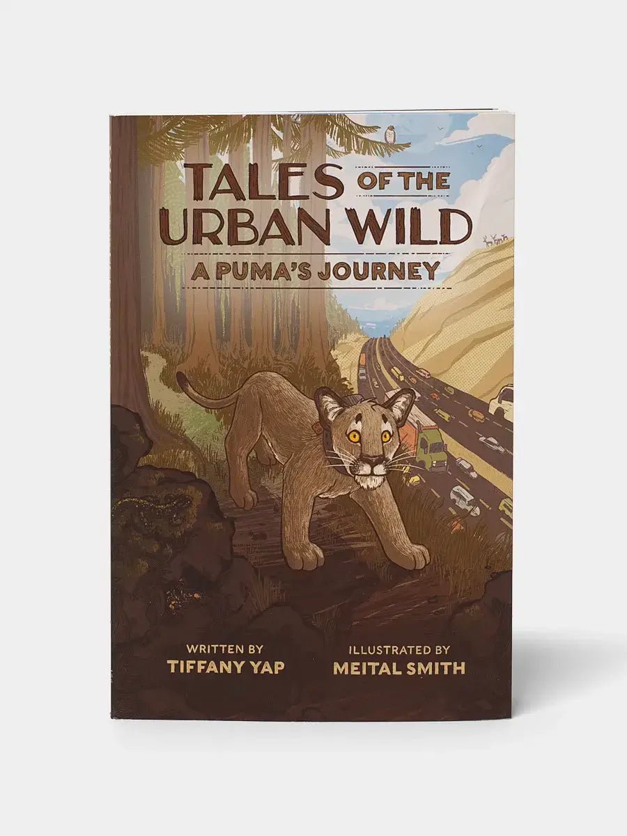Tales of the Urban Wild: A Puma's Journey - Articles In Common